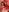 Red passion, fire skin. Nothing more matters.