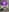 Electra_doll_'s photo