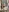 PaigePawg's photo