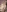 Late bulk nude album 2025