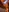 CyberFukk's photo