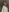Lola_Gilbert's photo