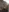 Loona-Lexxington's photo