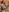 miaumiau_Mia's photo