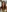 PlayfulGoddess's photo