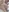 NaomiBelle_'s photo