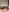 Kate_Moan's photo