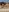 ♀️♀️Bikini Babes