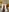 johnstoneisland's photo