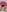 Evelynn's photo