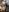 AnneBartlet's photo