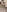 BritBustyBrooke's photo