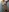 wild_bong_queen's photo