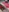 rayhot69's photo