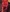 ellenbluejay's photo