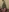 X - Mas Pics 2025