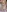 Full Nude Closeup