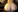 coupleofficial's photo