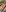 Exclusive bikini photos