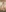IRIS NAKED (PACK FOR 15 PHOTOS)