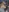 Woodsman72's photo