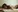 MayDevall's photo