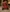 Puja-baby's photo