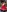 MollyCruz's photo