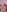 Evelynn's photo