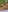 VibrantMultiracialCouple's photo