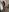 wetchick069's photo