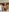 NikiKerryCum's photo