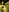 iaradias's photo