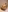 2024 photoset