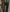 TracyHenryy's photo