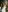 MariiD's photo