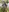 Gianina-Ts's photo