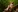 LaraQ's photo