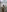 Nude photos