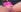 Morenahotcam's photo
