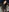 AdelRoss's photo
