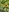 すきなもの共有しよ❤️