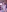FemAlexa_'s photo