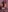 Love_Lines's photo