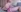 -EmmilyBaby-'s photo