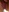 Furry_Foxxy's photo