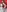 Sophia_Sweet3's photo