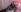 Emma_Tramell's photo
