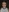 NikkieKitty's photo