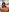RachelPirce's photo